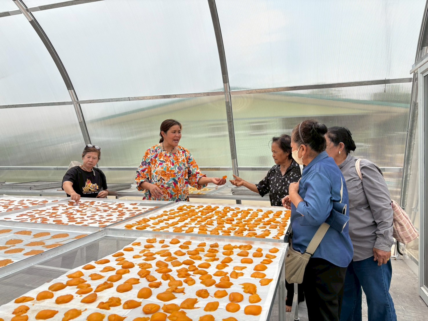 title - ส.ป.ก.นครปฐม จัดโครงการที่ดินพระราชทานในเขตปฏิรูปที่ดินจังหวัดนครปฐม ปีงบประมาณ พ.ศ. 2569 หลักสูตร การจัดการที่ดินและระบบการผลิตที่มีประสิทธิภาพ เพื่อเพิ่มโอกาสด้านการท่องเที่ยว ระยะที่ 3